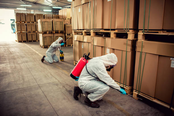 Best Local Pest Control Services  in River Park, FL