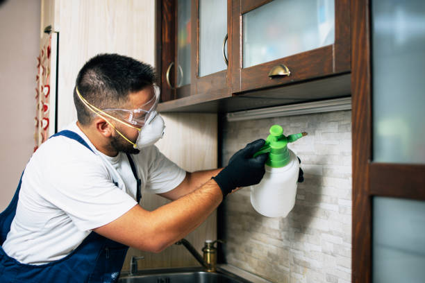 Best Residential Pest Control  in River Park, FL