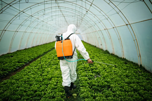 Best Pest Inspection Near Me  in River Park, FL