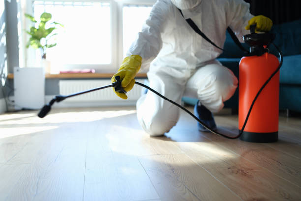 Professional Pest Control in River Park, FL