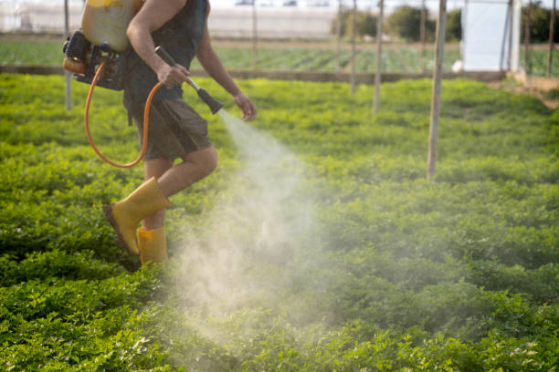 Best Mosquito Control Services  in River Park, FL