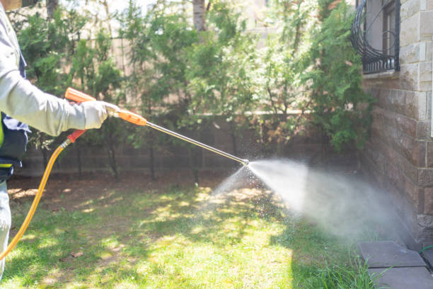 Best Rat Extermination Near Me  in River Park, FL