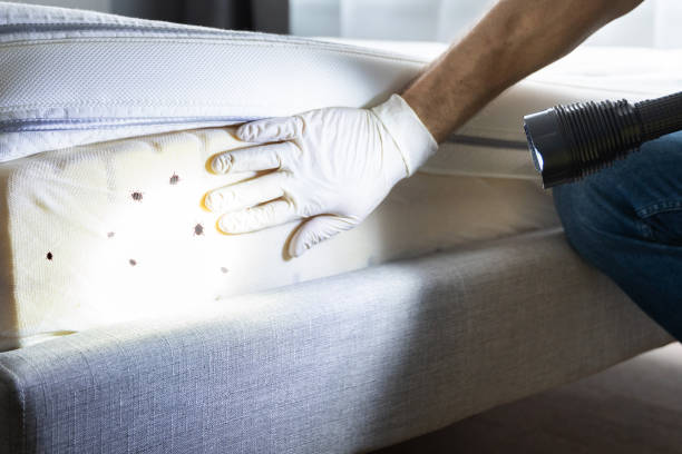 Pest Control Cost in River Park, FL