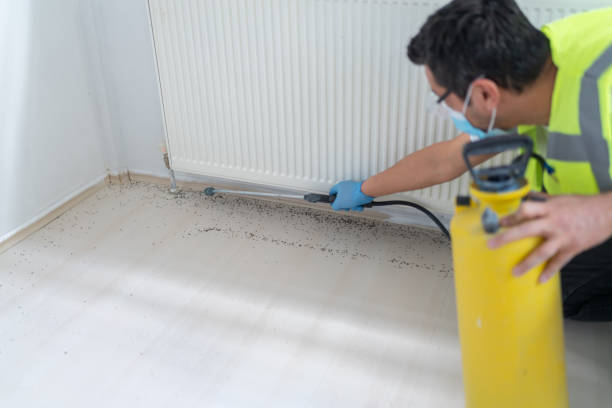 Best Flea Control Services  in River Park, FL